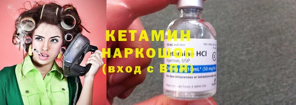 стаф Аркадак