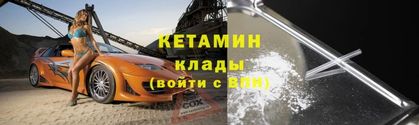 стаф Аркадак
