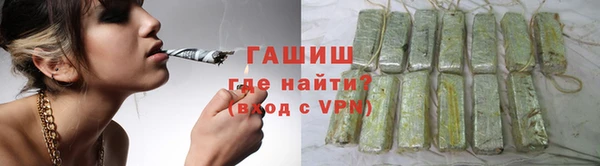 стаф Аркадак