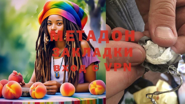 стаф Аркадак